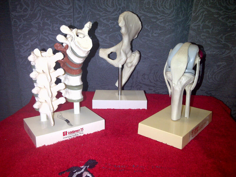 gallery5